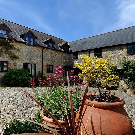 Musbury Rose Cottage מראה חיצוני תמונה