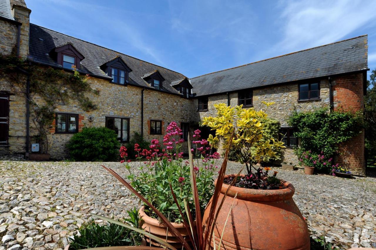 Musbury Rose Cottage מראה חיצוני תמונה