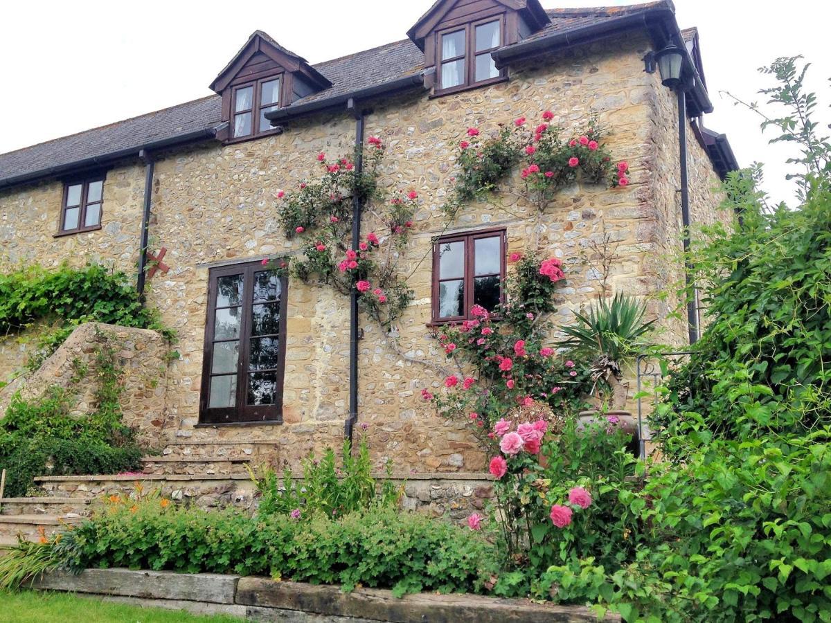 Musbury Rose Cottage מראה חיצוני תמונה