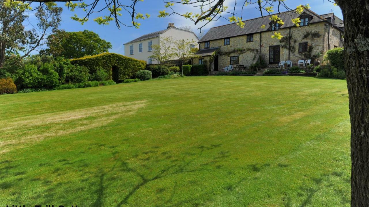 Musbury Rose Cottage מראה חיצוני תמונה