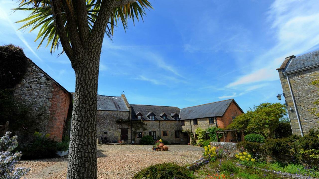 Musbury Rose Cottage מראה חיצוני תמונה