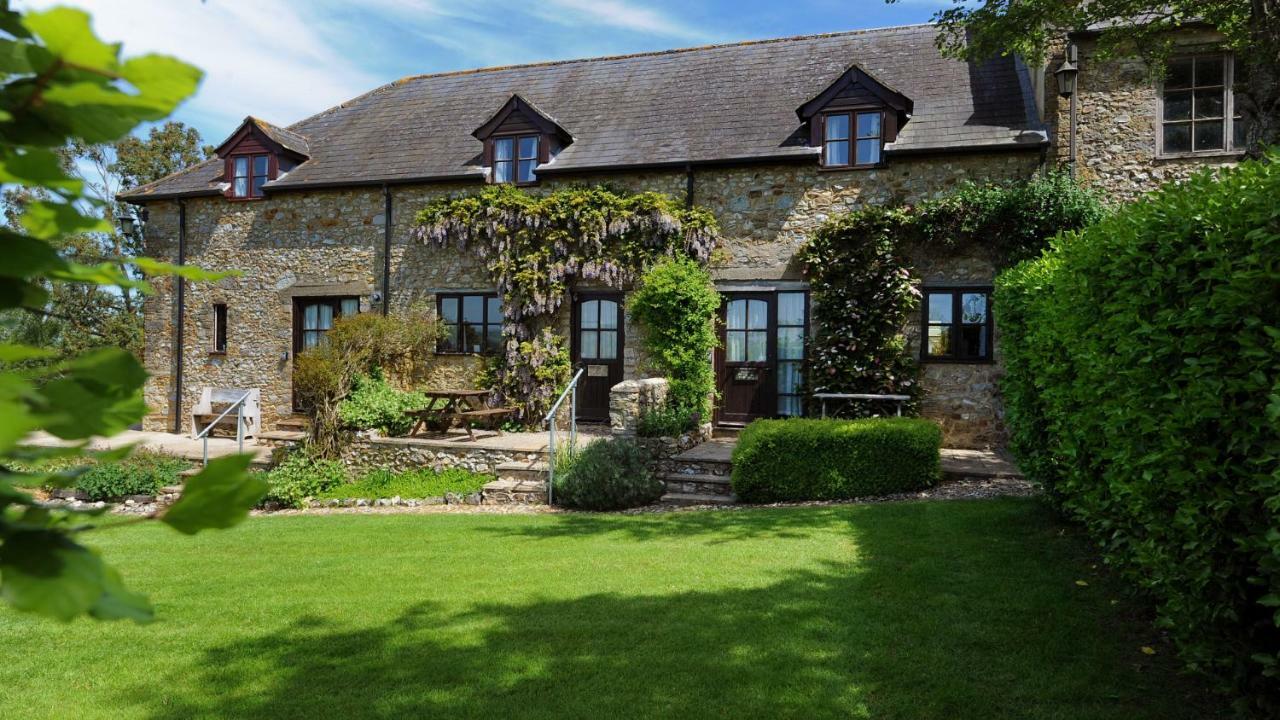 Musbury Rose Cottage מראה חיצוני תמונה