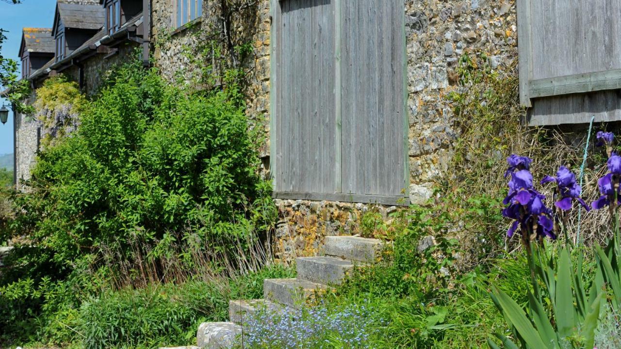 Musbury Rose Cottage מראה חיצוני תמונה